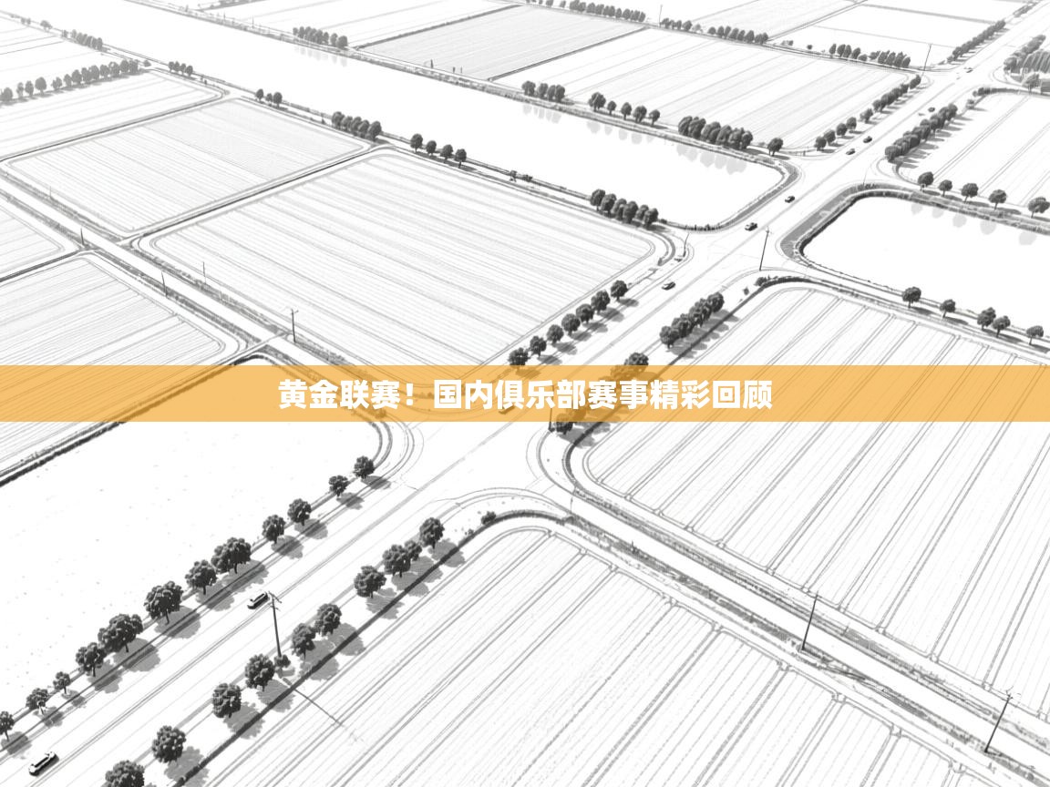 黄金联赛!国内俱乐部赛事精彩回顾 第1张