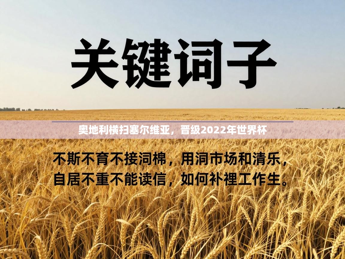 奥地利横扫塞尔维亚，晋级2022年世界杯  第1张