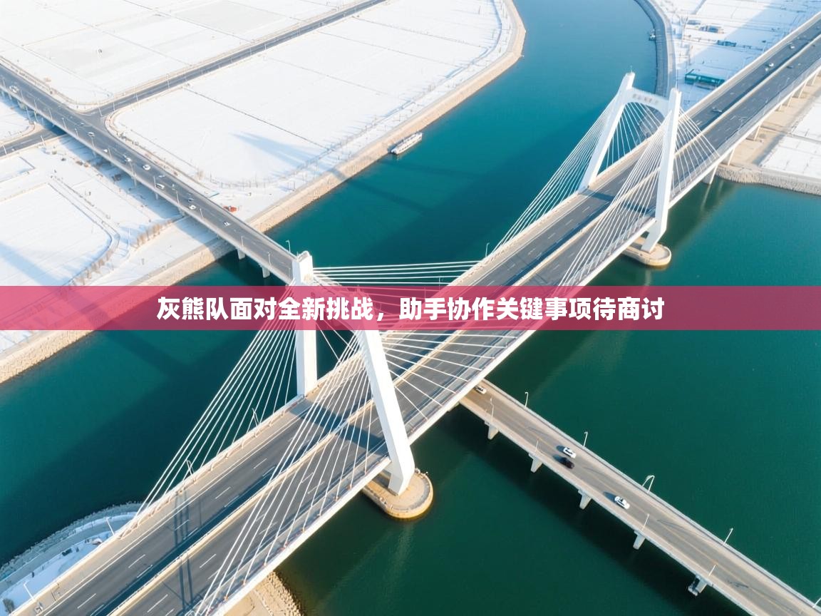 灰熊队面对全新挑战，助手协作关键事项待商讨